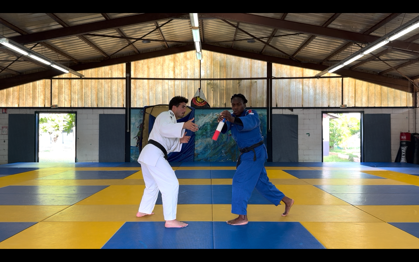 Programme n°7 Clarisse Agbegnenou - Judo | Entraînement - Cognitive Stick