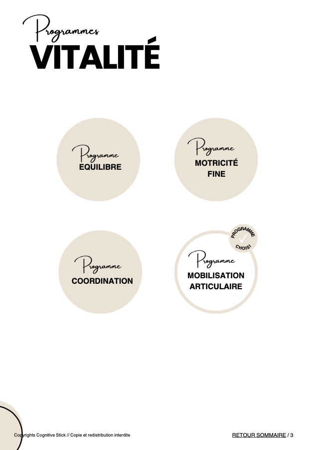 Programme n°4 Mobilisation articulaire - Partie 1 | Vitalité - Cognitive Stick