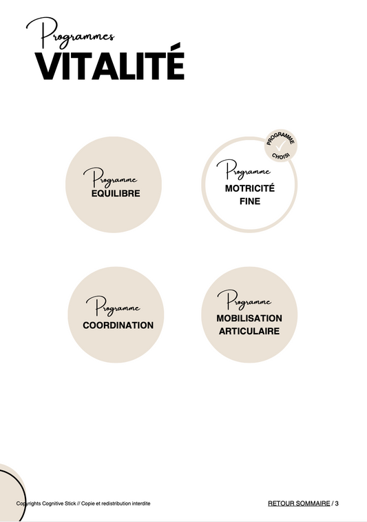 Programme n°2 Motricité fine - Partie 1 | Vitalité - Cognitive Stick